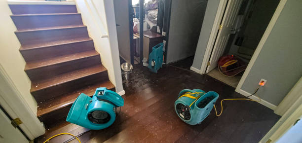 Best Ceiling water damage repair  in Rapid Valley, SD