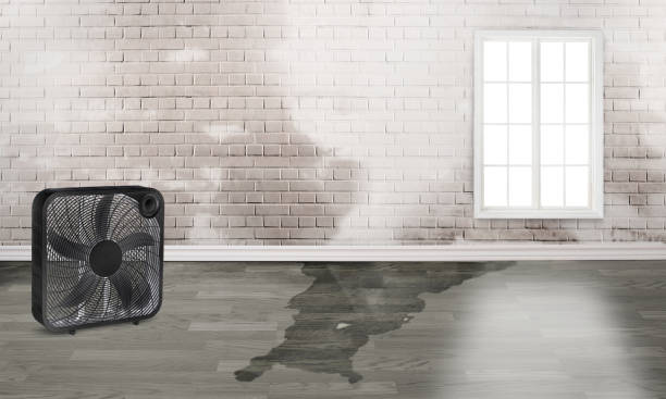 Best Water damage restoration near me  in Rapid Valley, SD