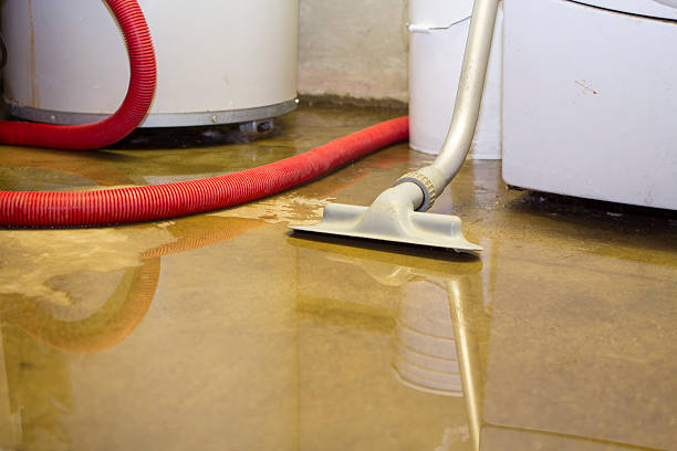 Best Flood restoration services  in Rapid Valley, SD